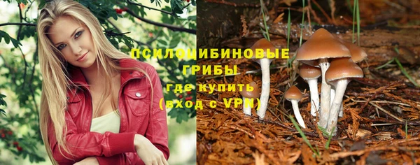 спиды Баксан