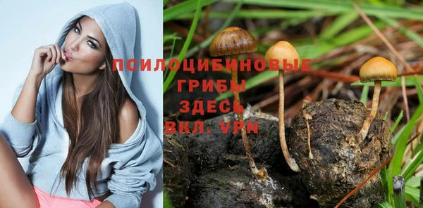 Альфа ПВП Армянск