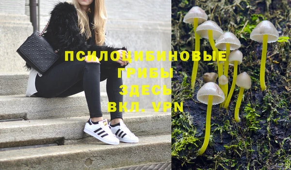каннабис Аркадак