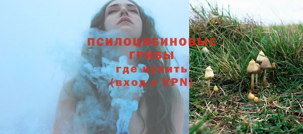 Альфа ПВП Армянск