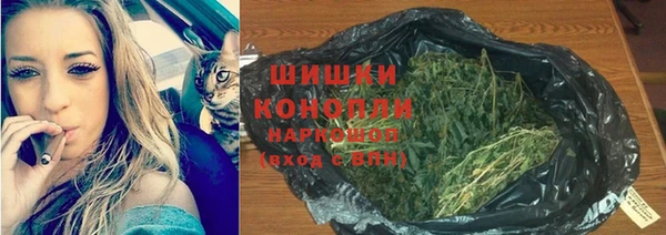 каннабис Аркадак
