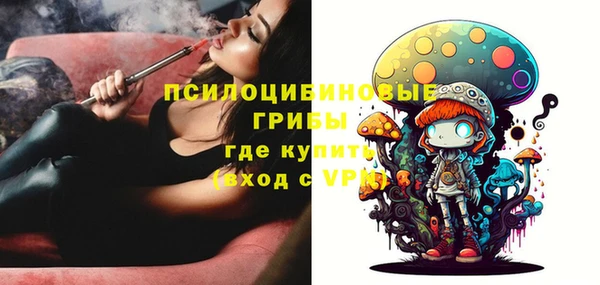 Альфа ПВП Армянск