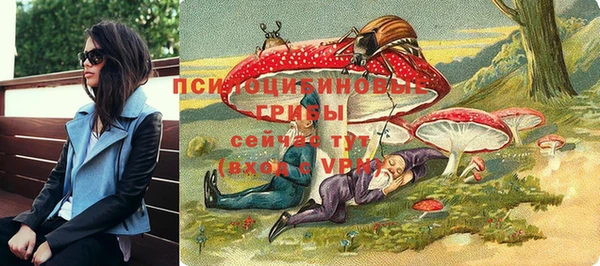 Альфа ПВП Армянск