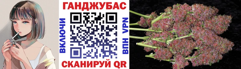 Марихуана сатива  Обоянь 